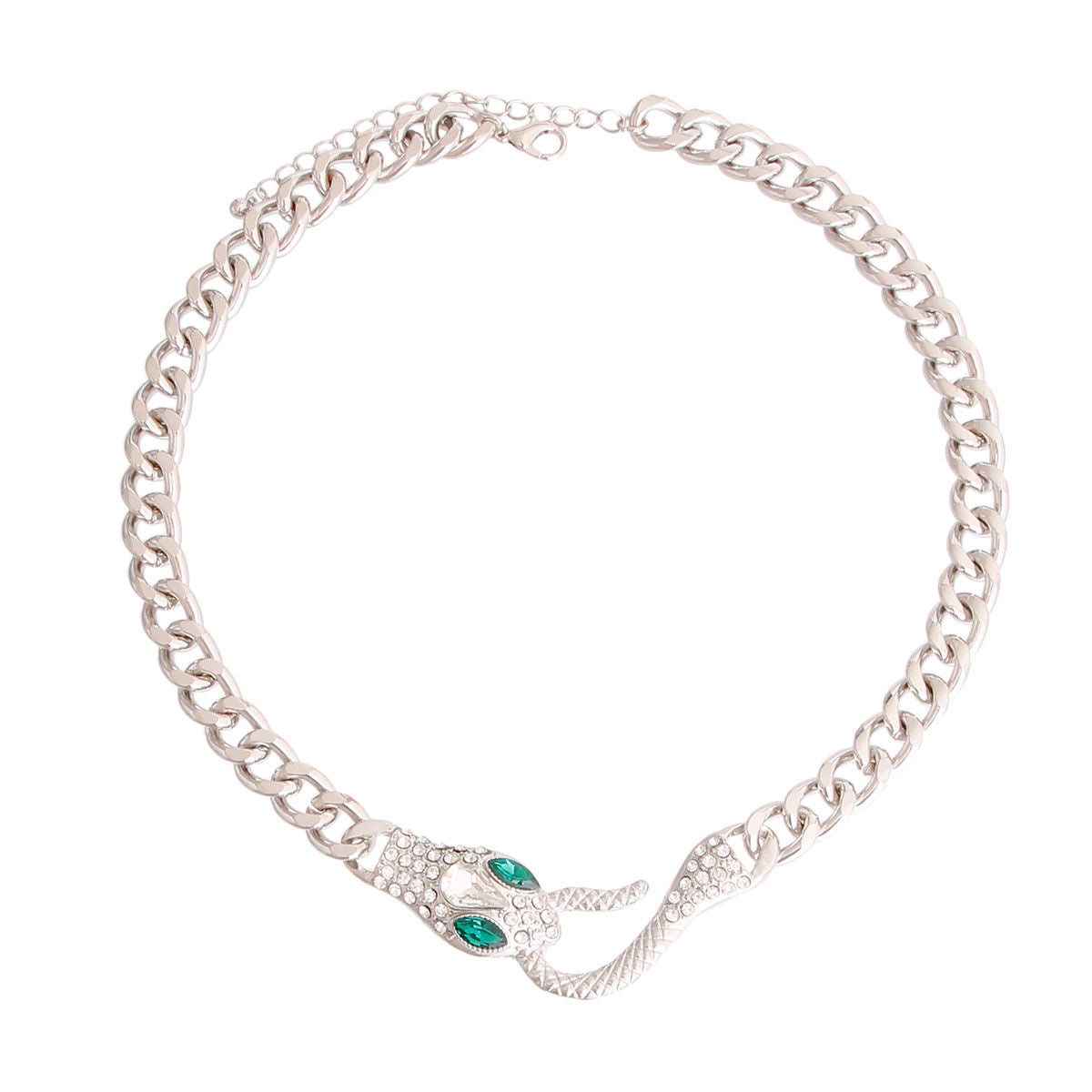 Serpentine Splendor: Silver Chain Necklace